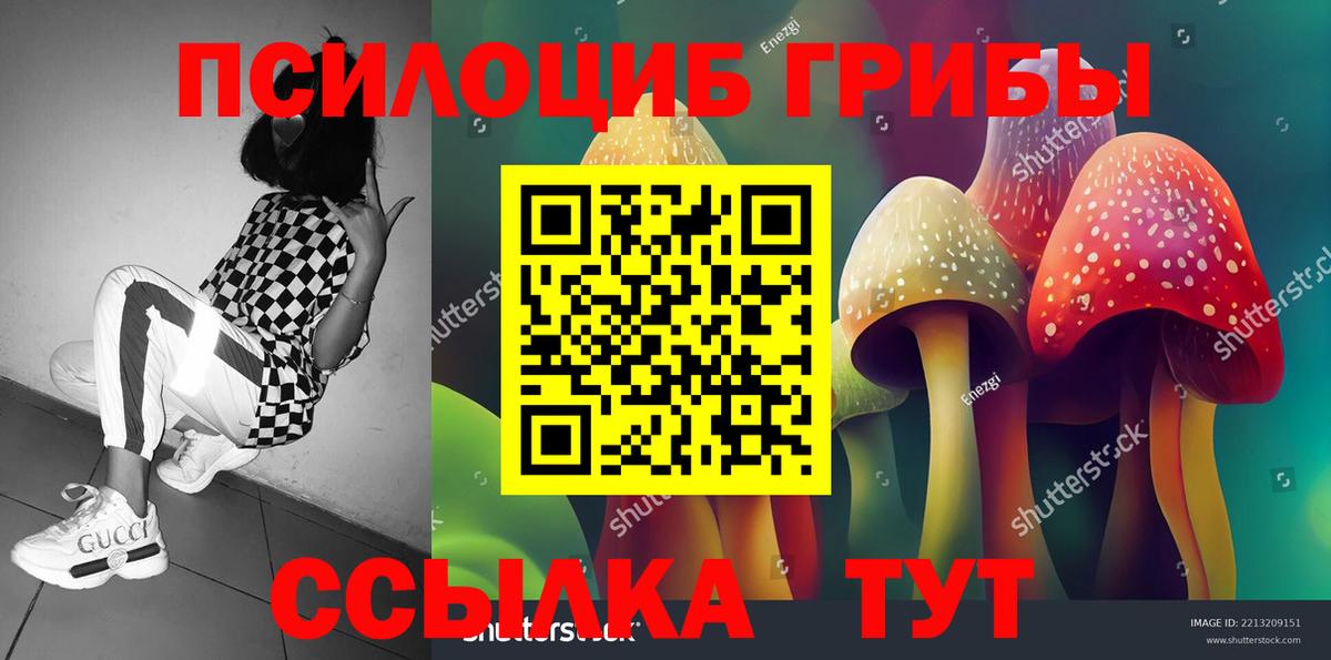 закладка  Вход с VPN  Псилоцибиновые грибы MAGIC MUSHROOMS  Тобольск  Галлюциногенные грибы мицелий 