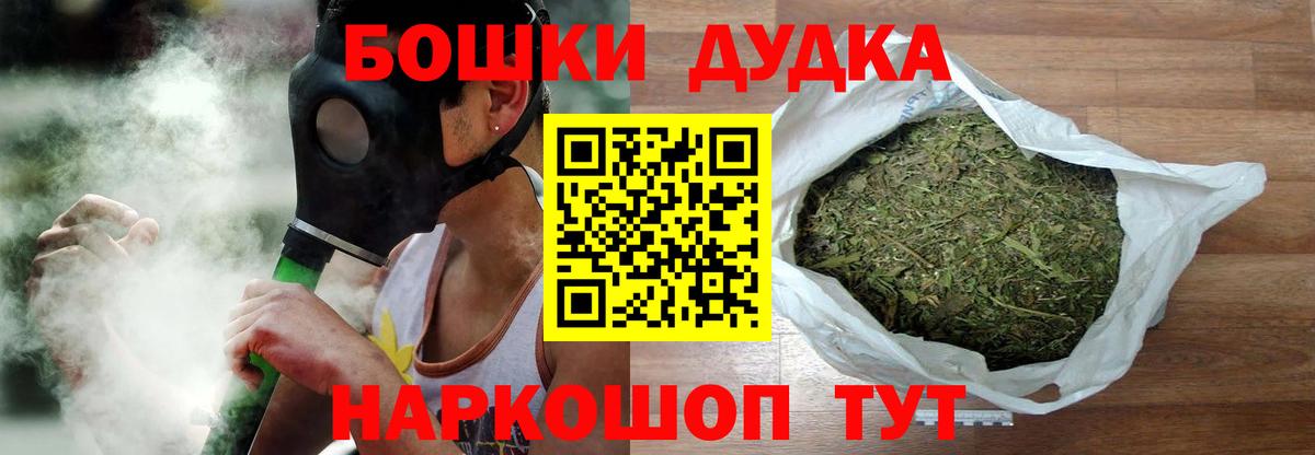 Бошки Шишки план Тобольск
